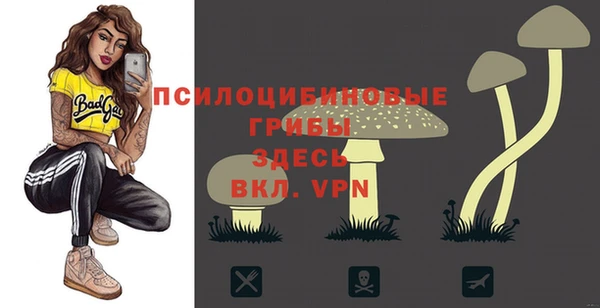 не бодяженный Надым