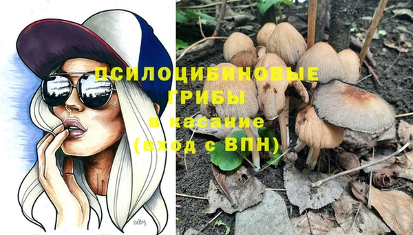 не бодяженный Надым