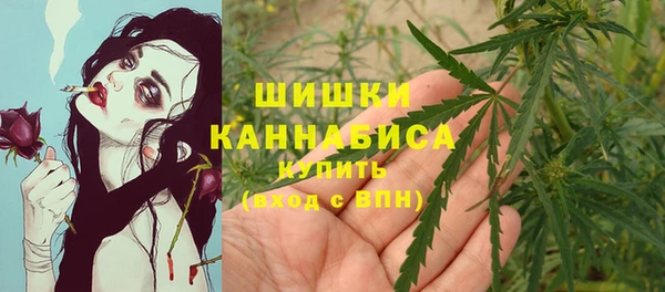 не бодяженный Надым