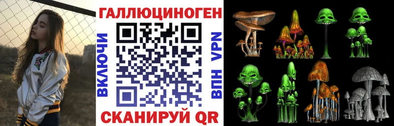 Псилоцибиновые грибы мицелий  Сенгилей 