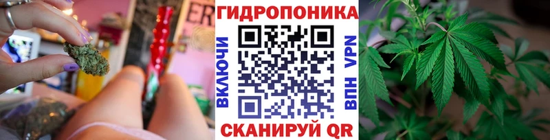 блэк спрут как зайти Сенгилей Бошки Шишки White Widow